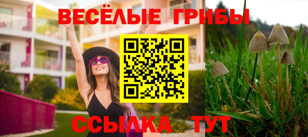Псилоцибиновые грибы ЛСД Ирбит