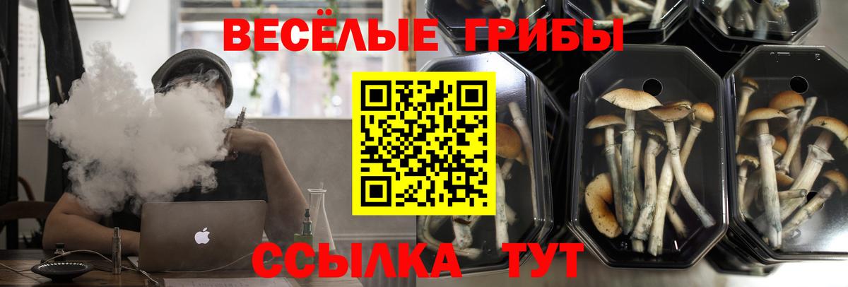 Ирбит  Псилоцибиновые грибы Psilocybe  Вход с VPN  дарнет шоп  Псилоцибиновые грибы мицелий 